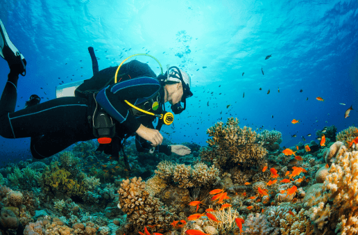 diving in bali