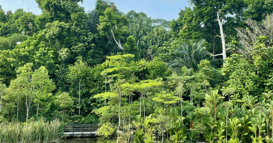 Bali Botanic Gardens