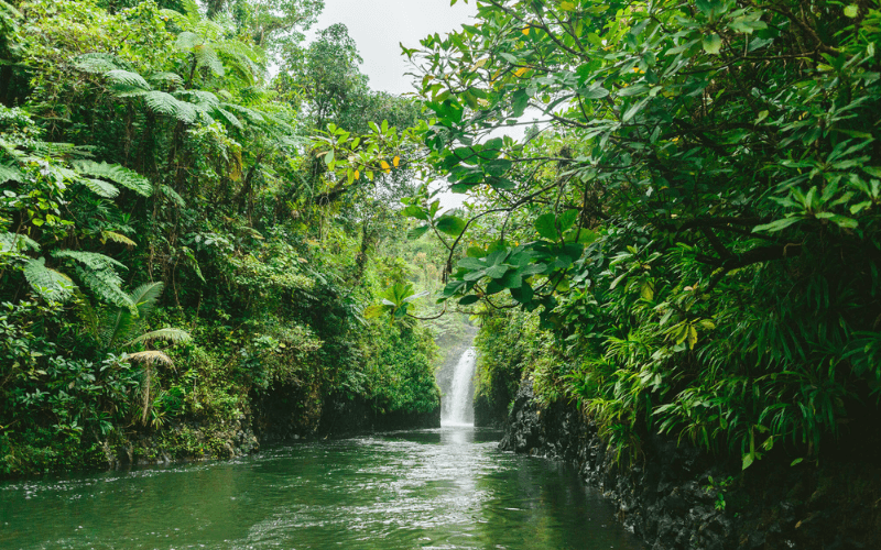 Lavena Coastal Walk